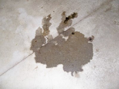 oil leak.jpg