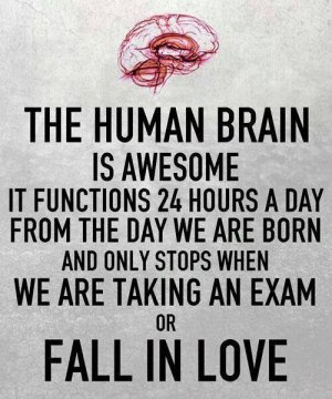 BRAIN.jpg