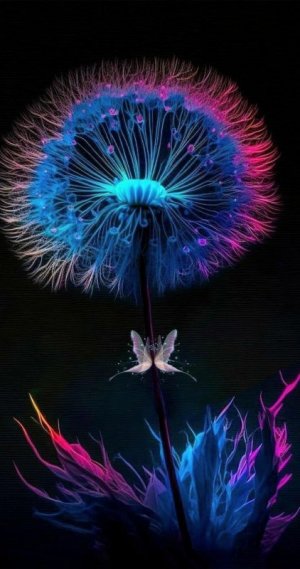 tumblr_2d37d215d6fdedc7d69cc0709a49e977_1ec3301b_1280.jpg