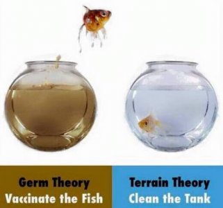 germtheory1.jpg