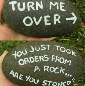 stoned.jpg
