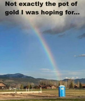 IMG_7803.jpeg