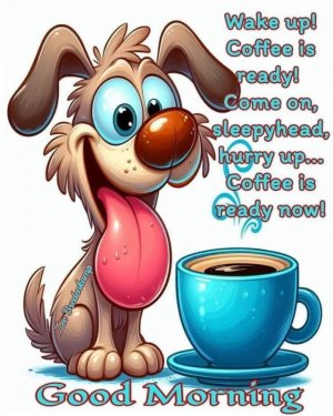 FB_IMG_1715644412333.jpg