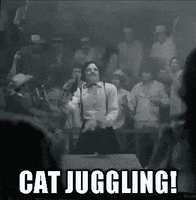 cat-juggling.gif