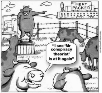 cows2.jpg