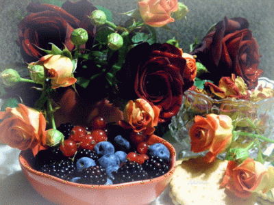 tumblr_ce9ca2cdd6d52d38b044a280ba74e3b5_7e4488f3_1280.gif