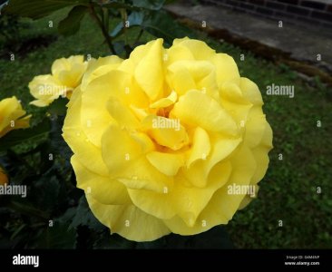 IMG_4618.jpeg