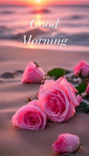 tumblr_b8d88864890f97d8b10c897dfec907ae_5fae3a80_1280.jpg