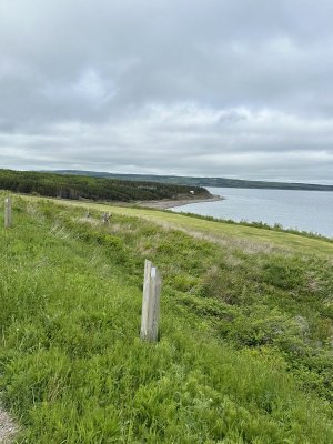 IMG_4621.jpeg