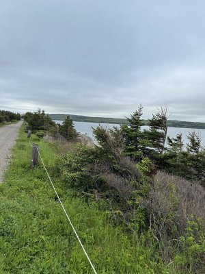 IMG_4627.jpeg