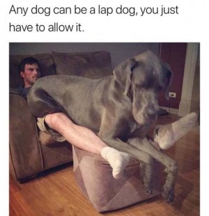 IMG_7821.jpeg