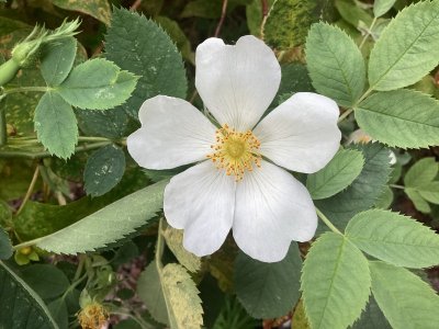 IMG_0644.jpeg