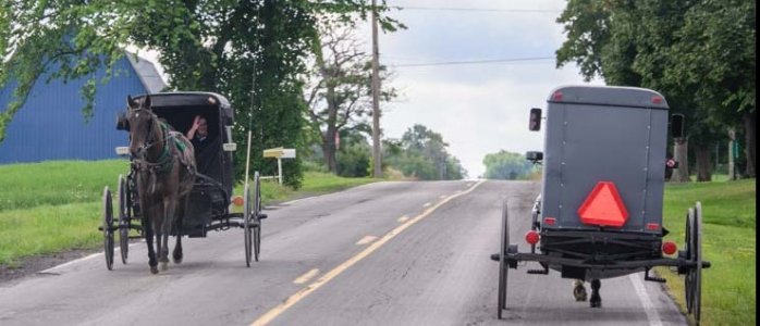 Amish.jpg