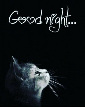 a77a40e290b71d5fc30d3d0962c75f89[1].jpg