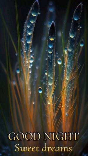0d0a6130ab20af32b018e6ebb5b3e6c6.jpg