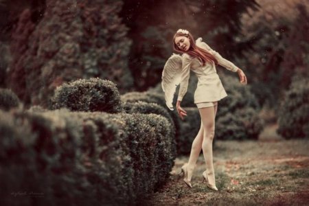 faerie morn 4 all.jpg