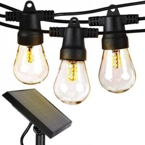Solar Lights.jpg