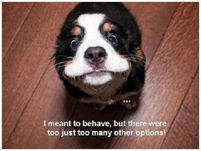 behave.jpg