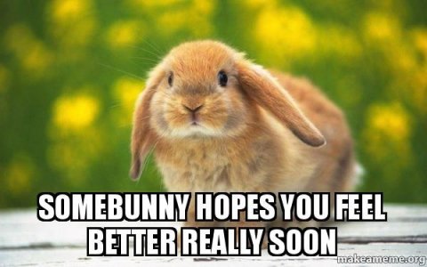 somebunnyfeelbetter.jpg