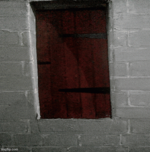 gilman-.gif