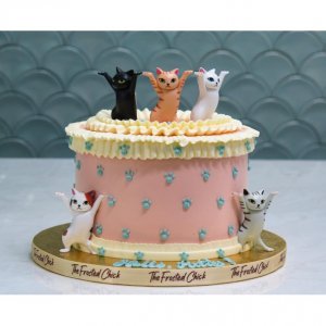 catbirthday.jpg