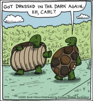 dressedindark.jpg