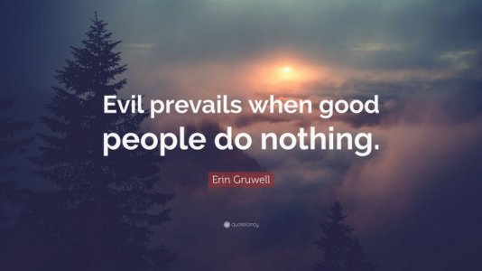 4925136-Erin-Gruwell-Quote-Evil-prevails-when-good-people-do-nothing.jpg