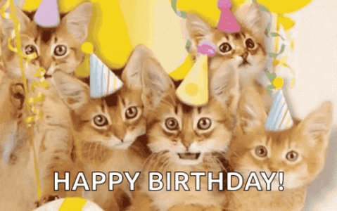 happy-birthday-cat.gif