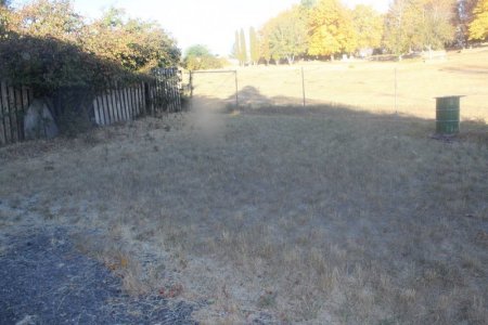 back yard.jpg6.jpg