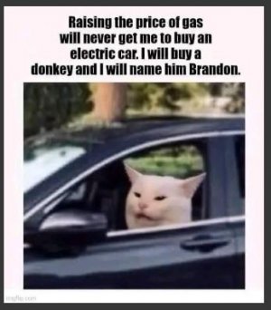owe.JPG