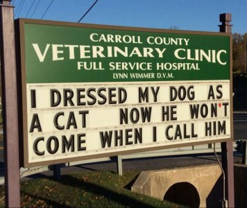 dogasacat.jpg