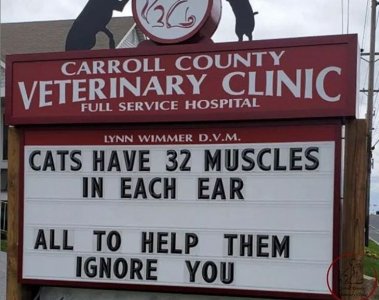 catearmuscles.jpg