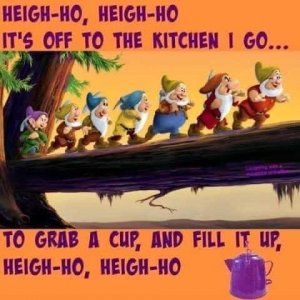 IMG_7834.jpeg