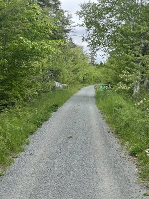 IMG_4655.jpeg