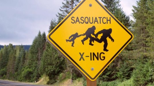 Squatch Xing.jpg