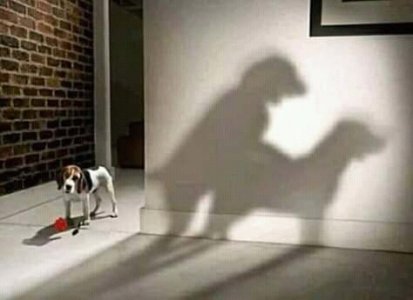 dogsex.jpeg