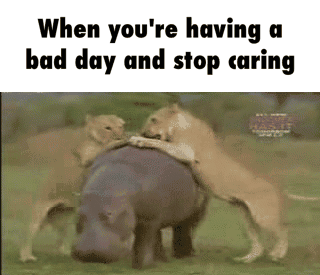 dont care.gif