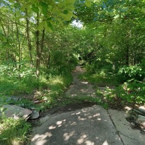 thumbnail (5).jpg