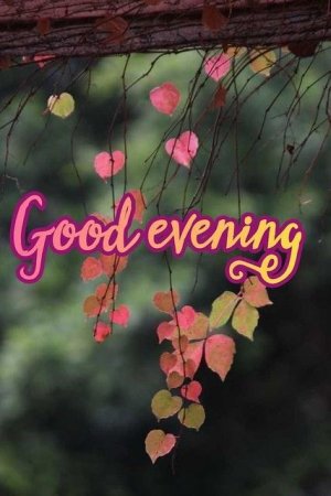 d792e5c4d58bff664de49f2771a1f151[1].jpg