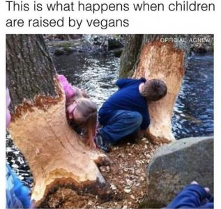 El2q1rpXgAAw3S0.jpeg