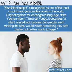 WTF-Fun-Fact-mamihlapinatapai.jpg