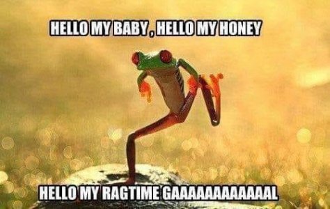 IMG_7847.jpeg