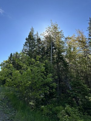 IMG_4679.jpeg