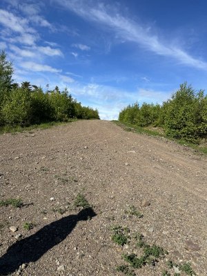 IMG_4678.jpeg