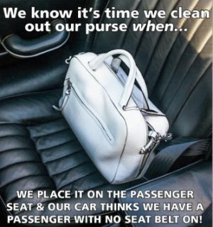 cleanoutpurse.jpg
