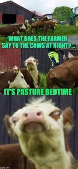IMG_7837.jpeg