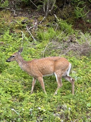 IMG_4710.jpeg