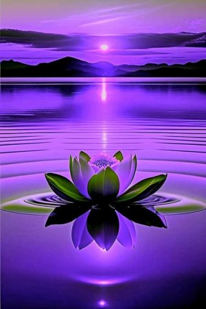 purplesunsetbeautiful.jpg
