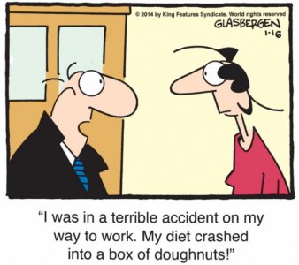 dietcrashed.jpg