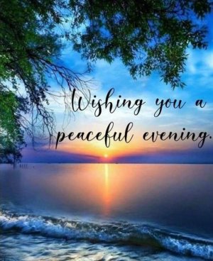 dd507131febacc966a4bb5c4d35b9e41[1].jpg